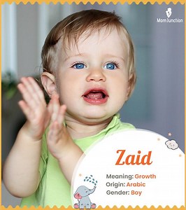Zaid Name Meaning: Everything You Need To Know