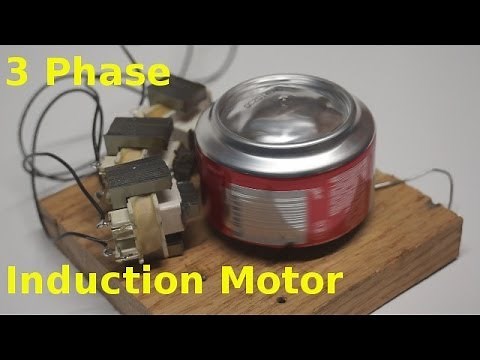 DIY 3 Phase Motor
