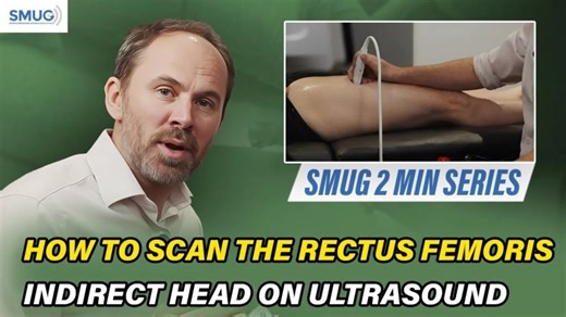 How to Scan the Rectus Femoris Indirect Head on Ultrasound | MSK Ultrasound Training (UK) | Chris Myers