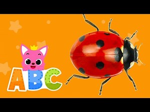 Learn ABCs with Pinkfong: Ladybug, Flea, Honeybee | ABC Song, Bugs Names | Pinkfong ABC for kids