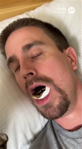 My cat’s idea of breakfast (part 34) #funny #python