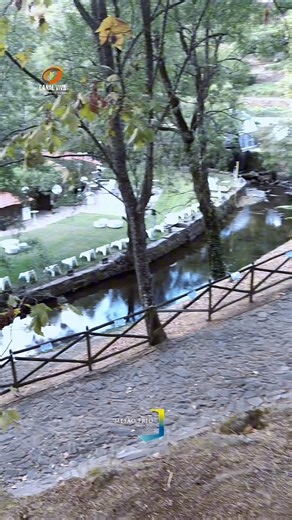 35K views · 527 reactions | Mesão Frio - Festa Branca daqui a pouco. | CANAL VIVA Entretenimento | Facebook