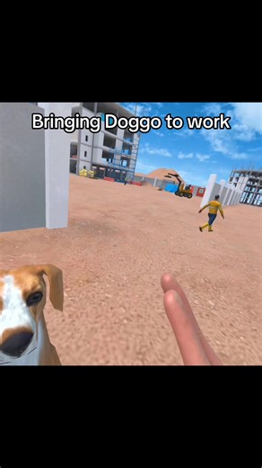 Bringing Doggo to Work: Lessons Learned