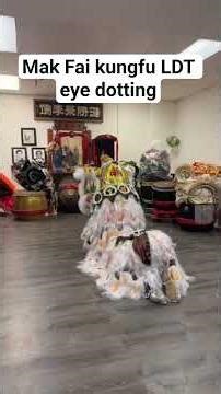 mak fai kungfu ldt eye dotting