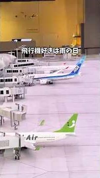 Kansai Airport in Tokyo?! An unbelievably realistic miniature world 😊 Small Worlds ✈️