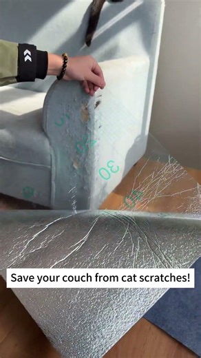 Stop Cat Claws from Destroying Your Couch