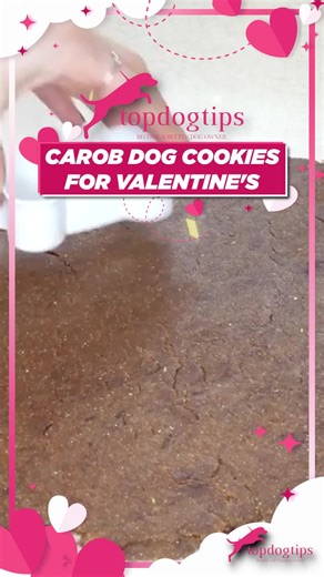 🍪 Love at first bite, dog edition! 🐾 These carob cookies for dogs are the perfect Valentine’s treat—sweet, crunchy, and made with carob, the best dog-safe alternative to chocolate. ✨ Because your pup deserves safe, homemade love this Valentine’s Day. 🐶💞 👉 Tap here for the full recipe: https://topdogtips.com/carob-cookies-for-dogs-recipe/ #ValentinesForDogs #CarobDogCookies #DogSafeChocolate #HomemadeDogTreats #PuppyLove #TopDogTips | Top Dog Tips