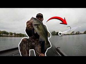 Catching Giant Fall Bass (Nonstop Action)