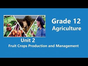 Grade 12 Agriculture Unit 2 Fruit Crops Production and Management