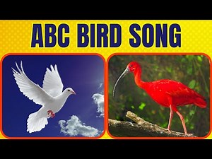 Learn ABC Phonics with Birds - Educational Kids Video - Learn Birds A-Z with Birds