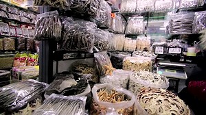 "Racing Extinction" Official Trailer