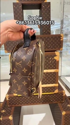 Louis Vuitton Mini Palm Springs Backpack Full Detail Unbox & Review