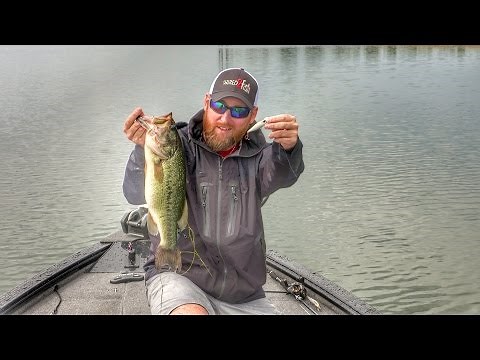 Learn the Best Times to Fish Topwater Poppers