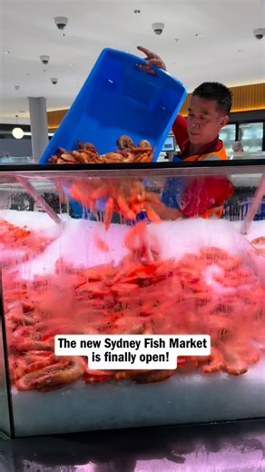 The new $800 million Sydney Fish Market is finally here, featuring more than 40 food and retail operators under one roof and claiming the title of the largest fish market in the Southern Hemisphere! 🐟🔥 We went down early this morning to check it out and we’re big fans. Come for fresh prawns, oysters and fish - plus cheese, flowers, fruit and vegetables and coffee. There’s also a bunch of cracking restaurants that we’re keen to visit. We loved how there are so many places to sit outside and enj