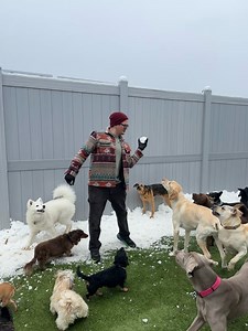 Puppy Playground Dog Daycare & Boarding on Reels