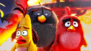 Los Cerdos roban TODOS los Huevos de Bird Island en Angry Birds: La película | Boxoffice - Mejores escenas de películas