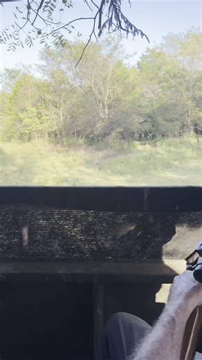 Samson's Whitetail Mountain on Instagram: "Was that an incredible hit ? #Hunt #deer"