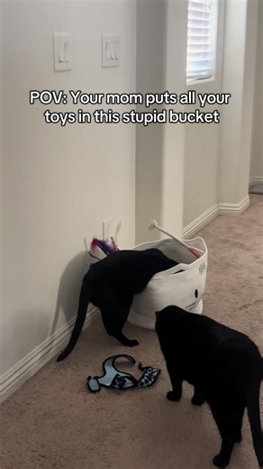 Mom's Hilarious Toy Bucket Challenge