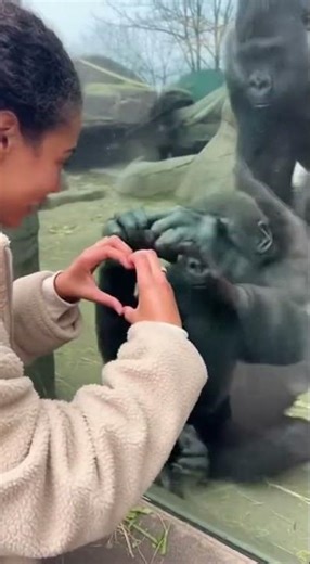 Why TWO Babies?! 😡😂 Toddler Jealousy Meets a Hilarious Zoo Twist | Real Family Moment”