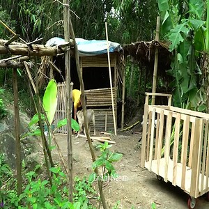 230K views · 5K reactions | The single mother built farm, Raised two children alone, Harvest honeydew melon go to sell at market <3 <3 | Infoworld | Facebook