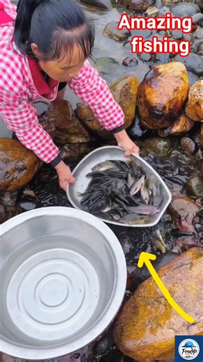 Amazing Fishing in the Mountain Stream #fishing #shortvideo #villagelife #river