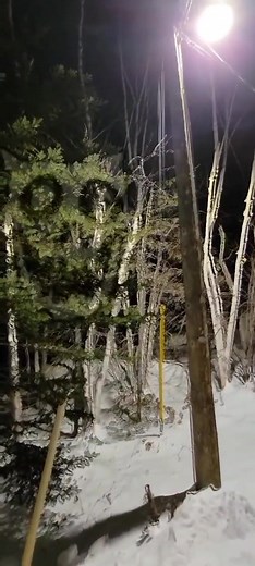 #schizophreniasimulator #hearingvoices #neurodivergent #schism #drawing #hallucination #schizoaffective #bipolar #psychosis #schizophrenia #art #faces