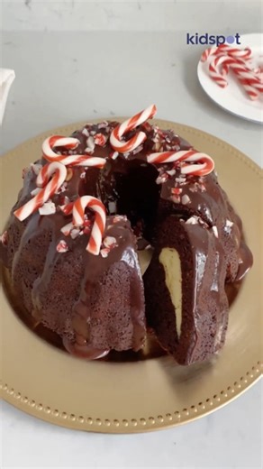Chocolate candy cane cake