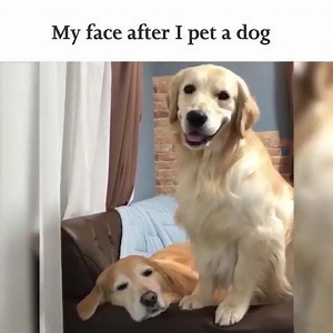 🤗 | Laughter Remix