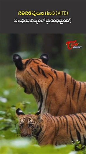 Where Did the 2026 Tiger Census (AITE) Begin? 🐅 | Sanctuary & Details for UPSC | Tone Academy