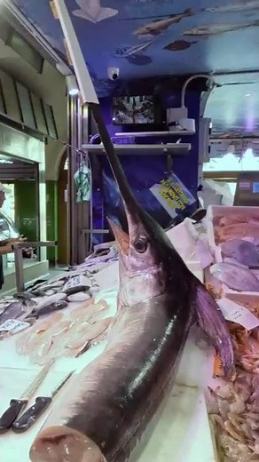 The Fish Market of Turin, Torino. Italian Food
