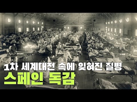 1차 세계대전 속에서 잊혀진 질병, 스페인 독감! 질병의 역사