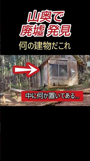 ⚠️山奥で見付けた廃墟が怖い山【神奈川、大雄山、ライブカメラ】登山、山、熊、くま、ニュース、事故、遭遇、山岳、遭難、探索、心霊スポット、ユーチューバー、恐怖、映像、動画、水ダウ #shorts