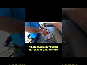 How to Clean and Fillet a Black Snook!