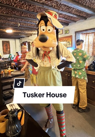 Breakfast at Tucker House in Disney’s Aminal Kingdom. It was amazing and we had a great time at this character dining. Met Mickey, Goofy, Donald and Daisy. #animalkingdom #disneyadult #breakfastideas #characterdining #disneytok