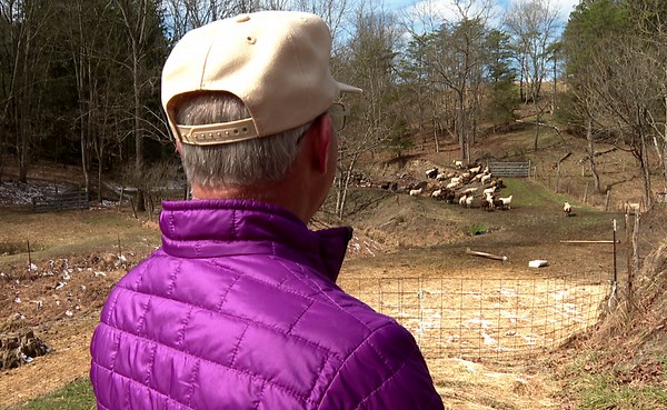 Power grid expansion goes through Pennsylvania farmer’s land