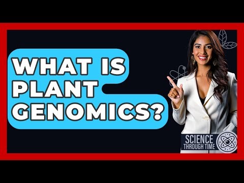What Is Plant Genomics? - Science Through Time