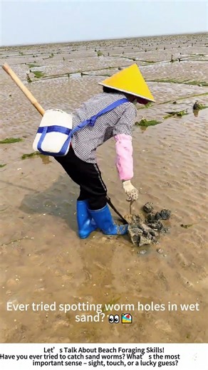 Sand Worm Digging – A Coastal Hunter’s Quick Strike! 🦐🌊