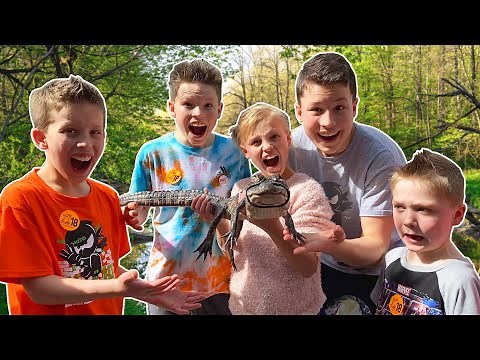 We found real Alligators!
