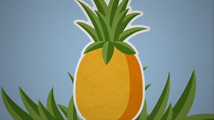 Costa Rica Paves the Way for Climate-Smart Agriculture