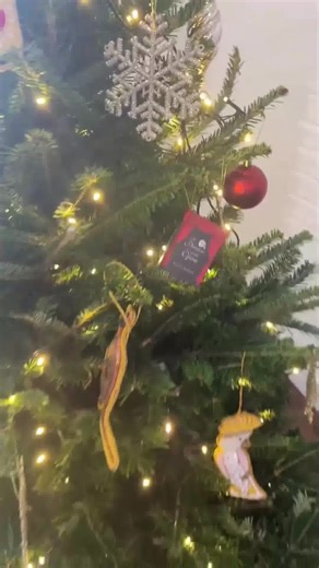 📚 Scopri una nuova storia ogni giorno fino a Natale. ✨ Include 25 piccoli classici letterari. 🎁 Regalo ideale per lettori di tutte le età. Ordina ora👇 | Frilla