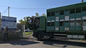 ALÈS Un nouveau repreneur pour l'abattoir