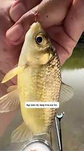 That was a close call, should I just keep this little guy?
