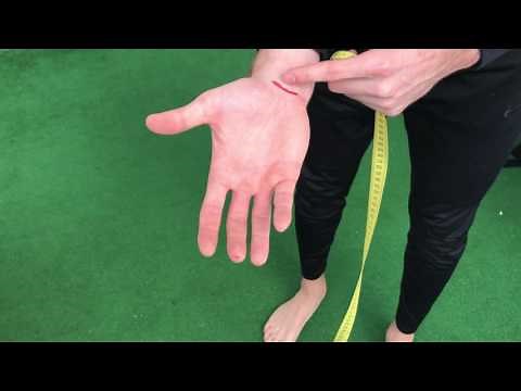 Functional Movement Screening (FMS) | Aprende a utilizarlo | Por Rafa Paradís | Ep. 1