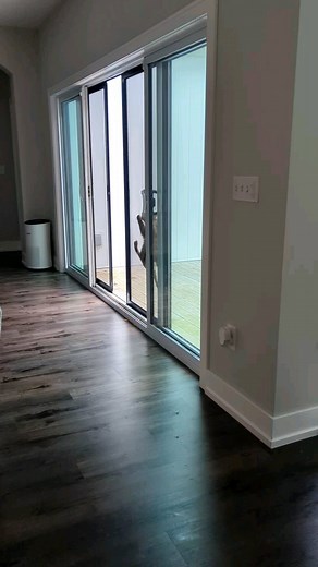 Could someone please let Merida know she's supposed to be handicapped? 😹 | FosterBabyCats