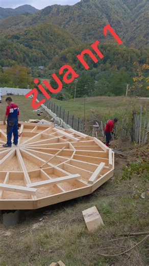 Producător domuri geodezic | Case din lemn & Biserici