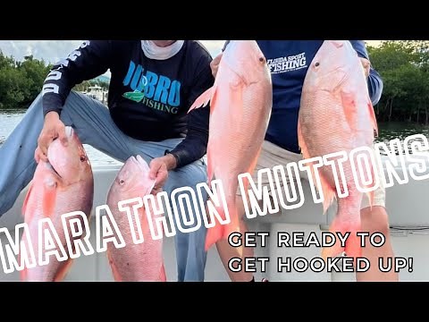 Marathon Mutton Snapper Fishing | Marathon mutton fishing | Florida Mutton Fishing 2024 | Fsftv