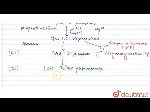 STEPS OF GLYCOLYSIS
