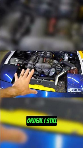Rats inside my engine bay! 🛑 #rats #car #mechanic