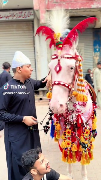 Sher Abbas: Official Performance Highlights