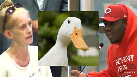 Eating DUCKS? Residents of Springfield, Ohio Speak Out About Thousands of Haitian Migrants